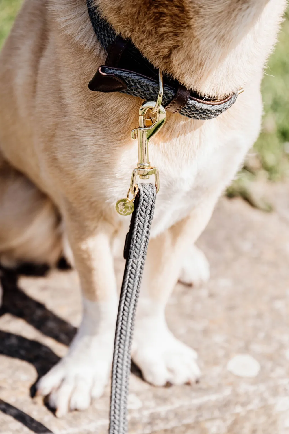 Kentucky Dogwear Kentucky Dogwear-Flätat Hundkoppel
