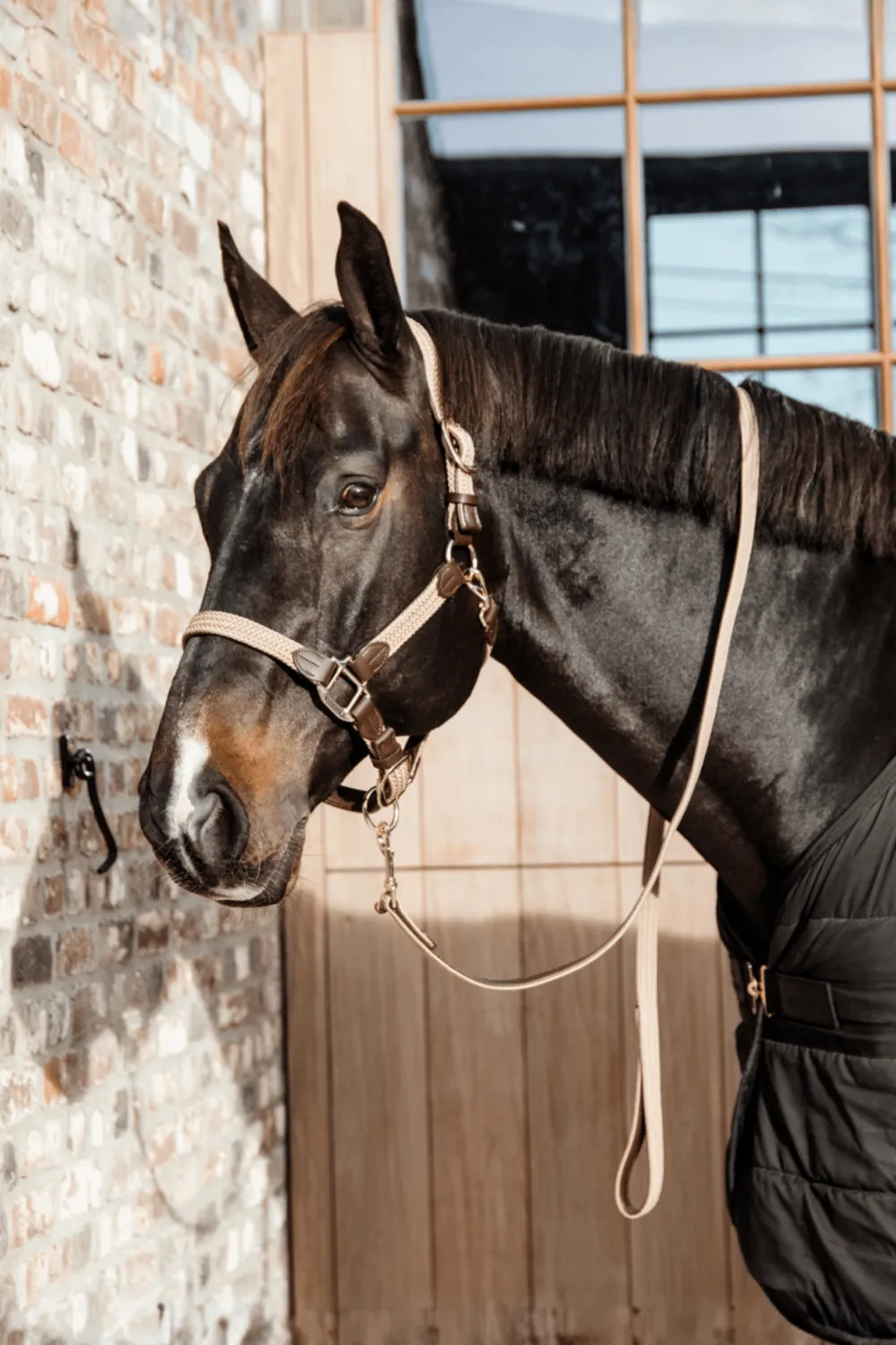 Kentucky Horsewear Grimmor & Grimskaft-Flätat Lädergrimskaft Beige