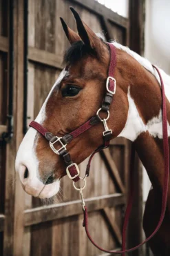 Kentucky Horsewear Grimmor & Grimskaft-Flätat Lädergrimskaft Bordeaux