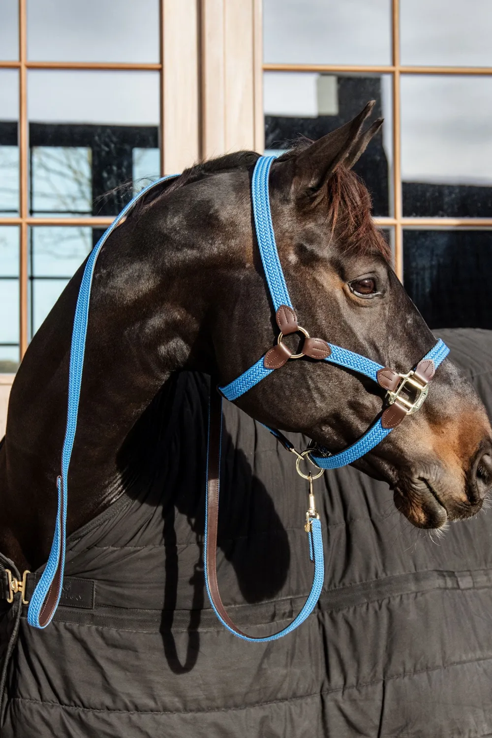 Kentucky Horsewear Kentucky Horsewear|Grimmor & Grimskaft-Flätat Lädergrimskaft Ljusblå