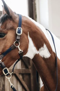Kentucky Horsewear Kentucky Horsewear|Grimmor & Grimskaft-Flätat Lädergrimskaft Navy