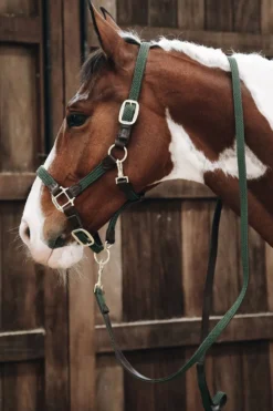 Kentucky Horsewear Kentucky Horsewear|Grimmor & Grimskaft-Flätat Lädergrimskaft Olivgrön