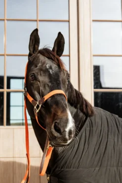 Kentucky Horsewear Kentucky Horsewear|Grimmor & Grimskaft-Flätat Lädergrimskaft Orange