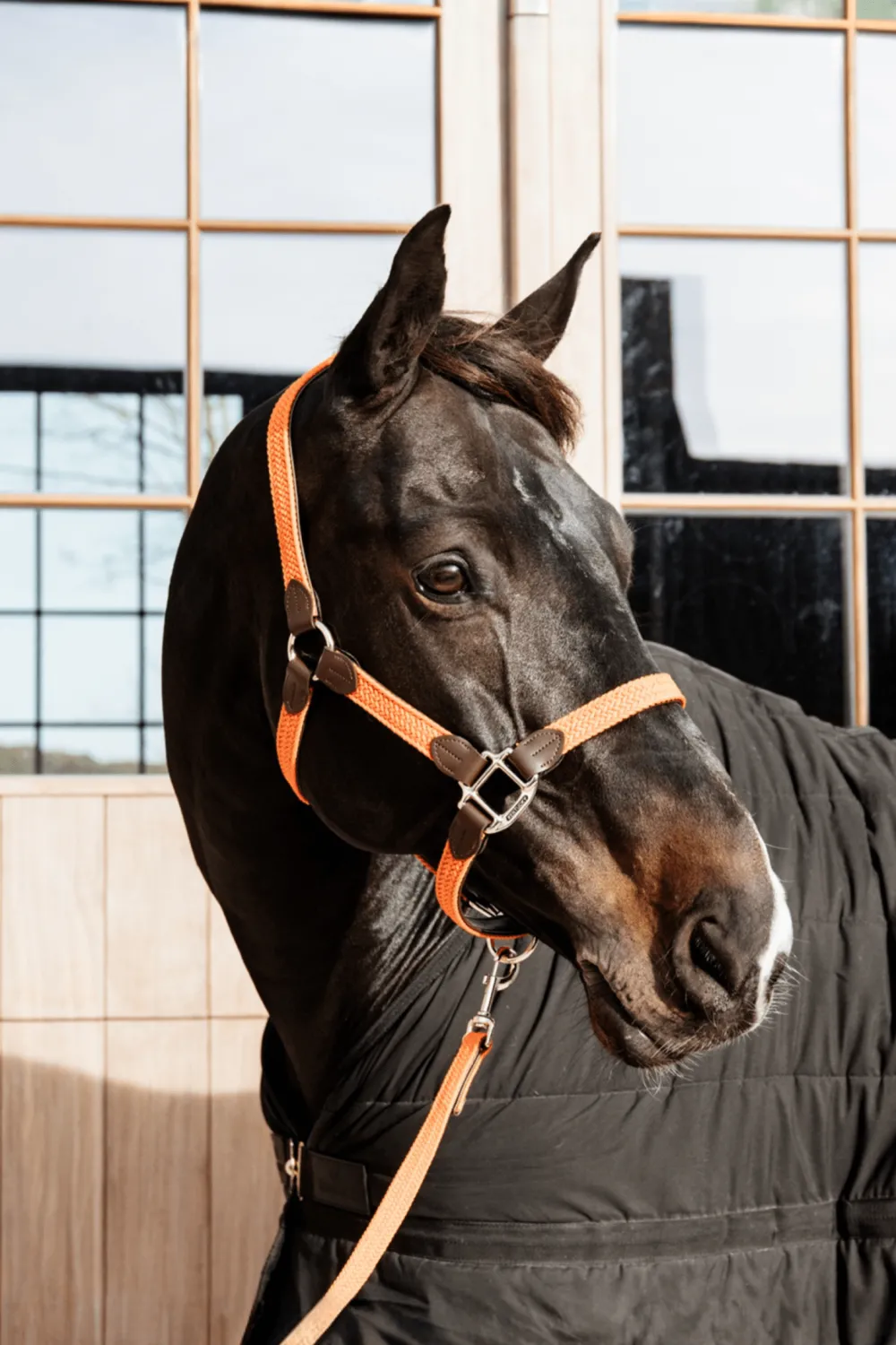 Kentucky Horsewear Kentucky Horsewear|Grimmor & Grimskaft-Flätat Lädergrimskaft Orange