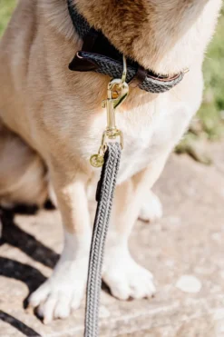Kentucky Dogwear Kentucky Dogwear-Fätat Nyon Haband