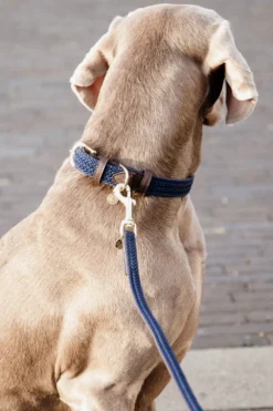 Kentucky Dogwear Kentucky Dogwear-Fätat Nyon Haband