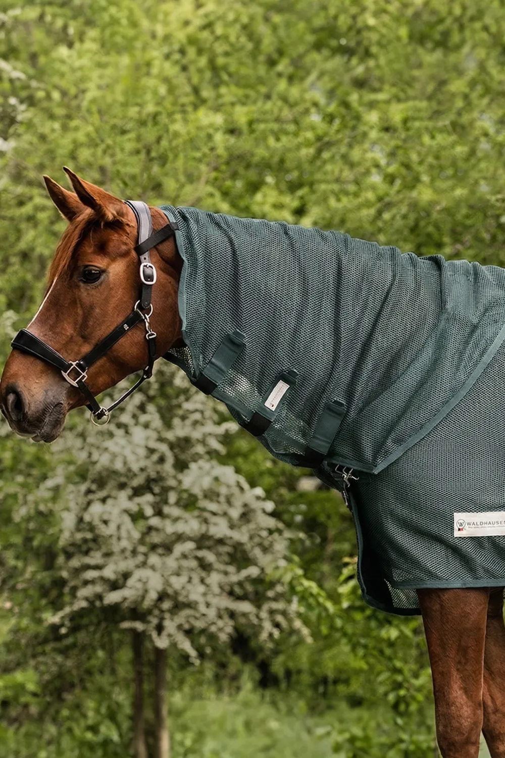 Waldhausen Hästtäcken & Flughuvor-Flughals Comfort Pine Green
