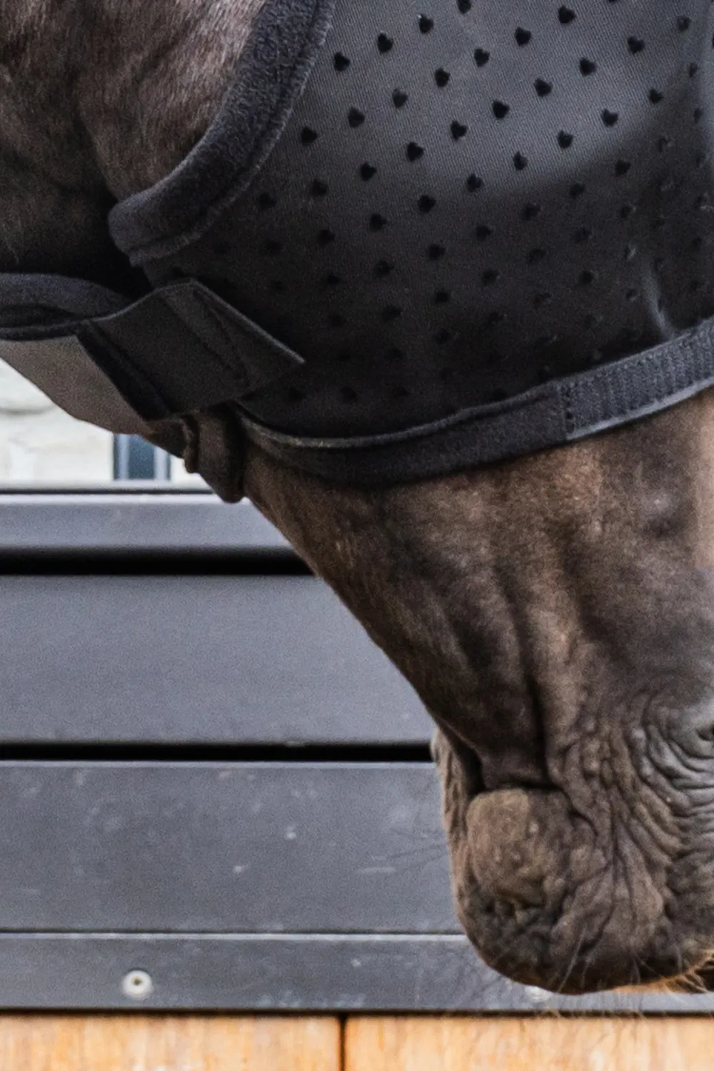 Kentucky Horsewear Kentucky Horsewear|Flugskydd-Flughuva Hjärta Öron + Nos Svart