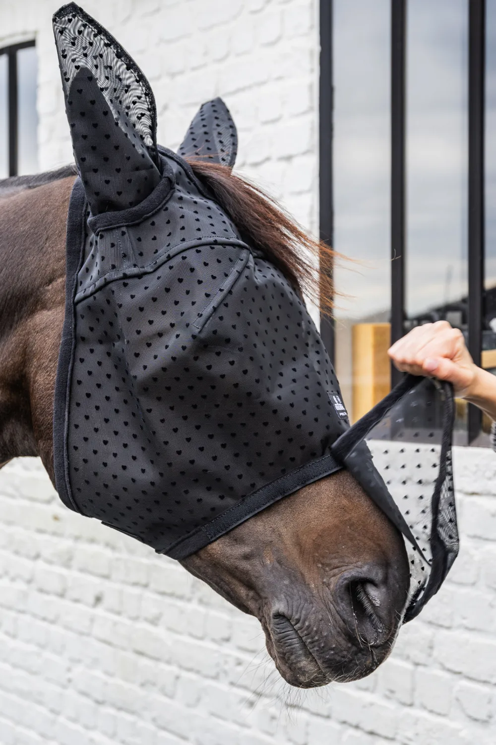 Kentucky Horsewear Kentucky Horsewear|Flugskydd-Flughuva Hjärta Öron + Nos Svart