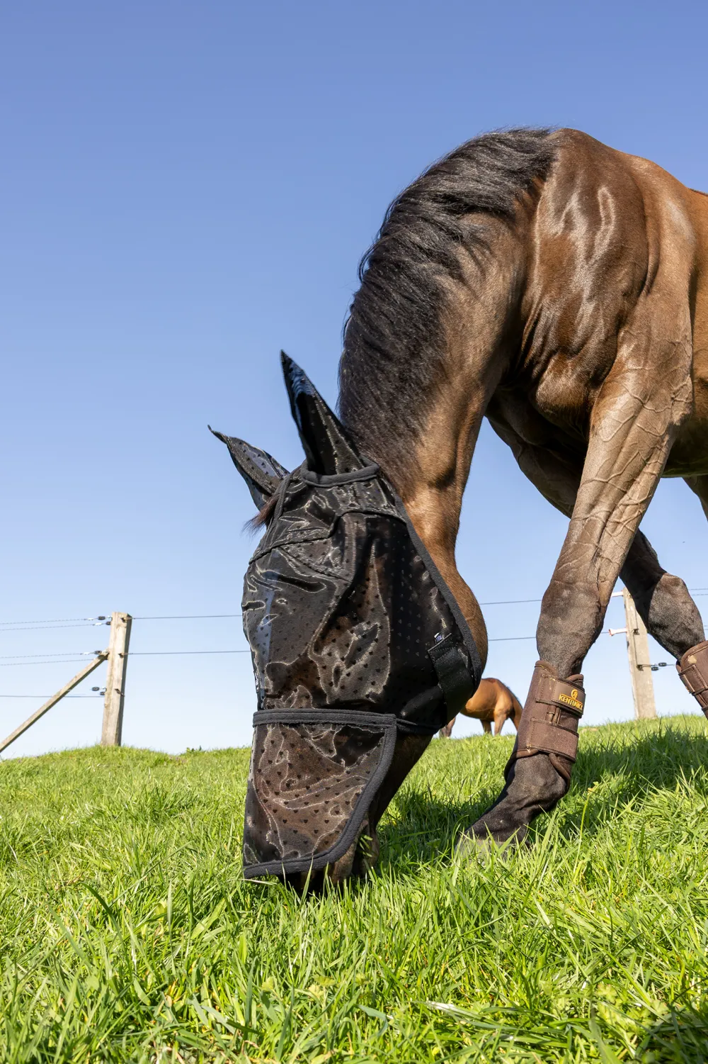 Kentucky Horsewear Kentucky Horsewear|Flugskydd-Flughuva Hjärta Öron + Nos Svart