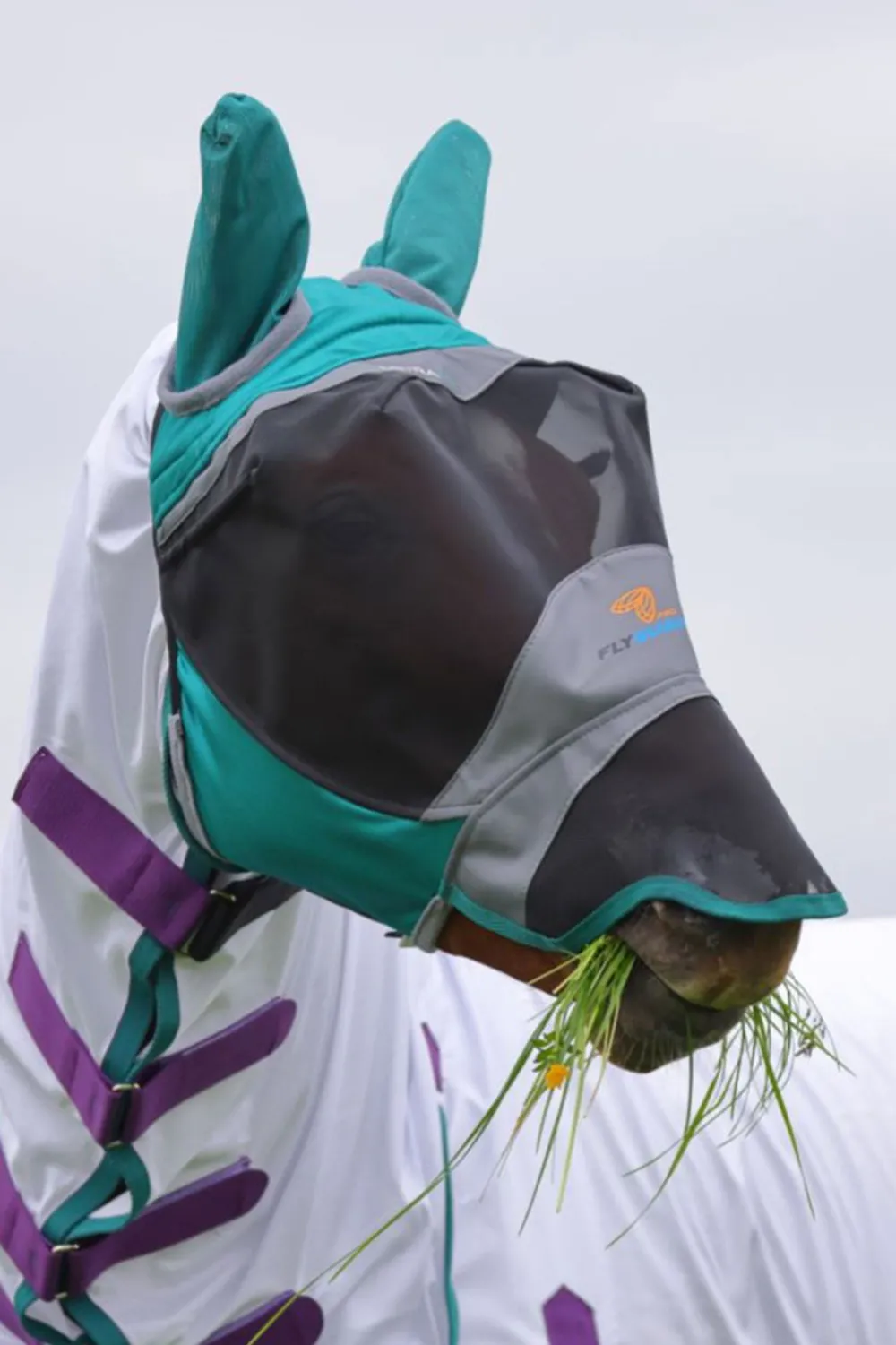 Shires Shires|Flugskydd-Flughuva Öron+Nos