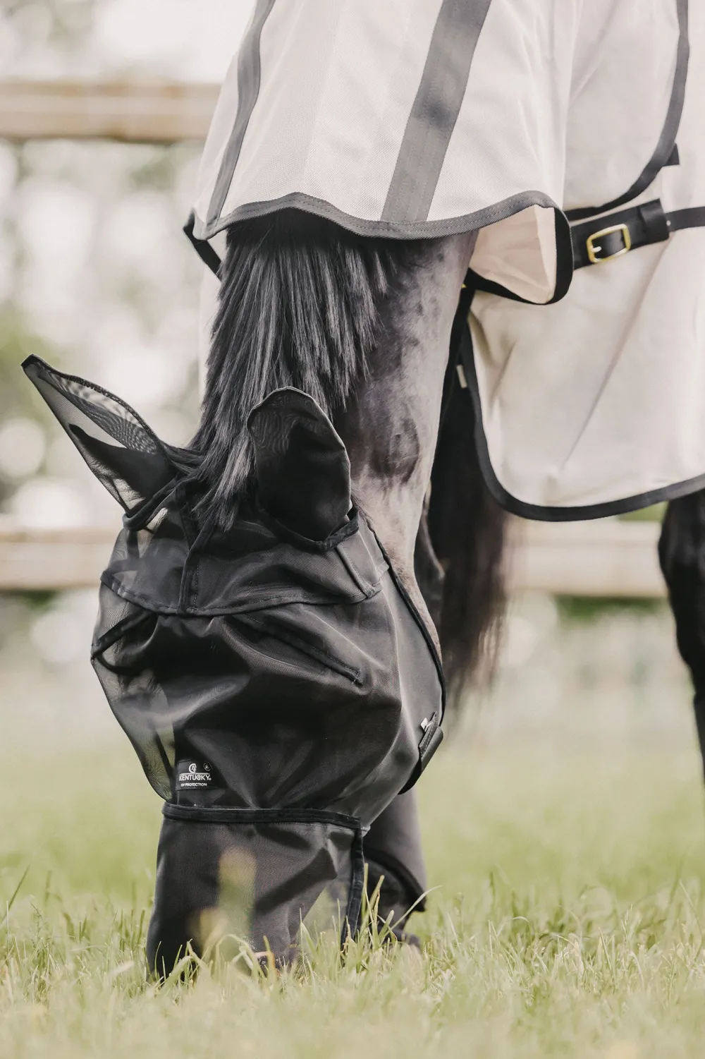 Kentucky Horsewear Kentucky Horsewear|Flugskydd-Flughuva Öron+Nos Svart