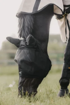 Kentucky Horsewear Kentucky Horsewear-Flughuva Öron Svart