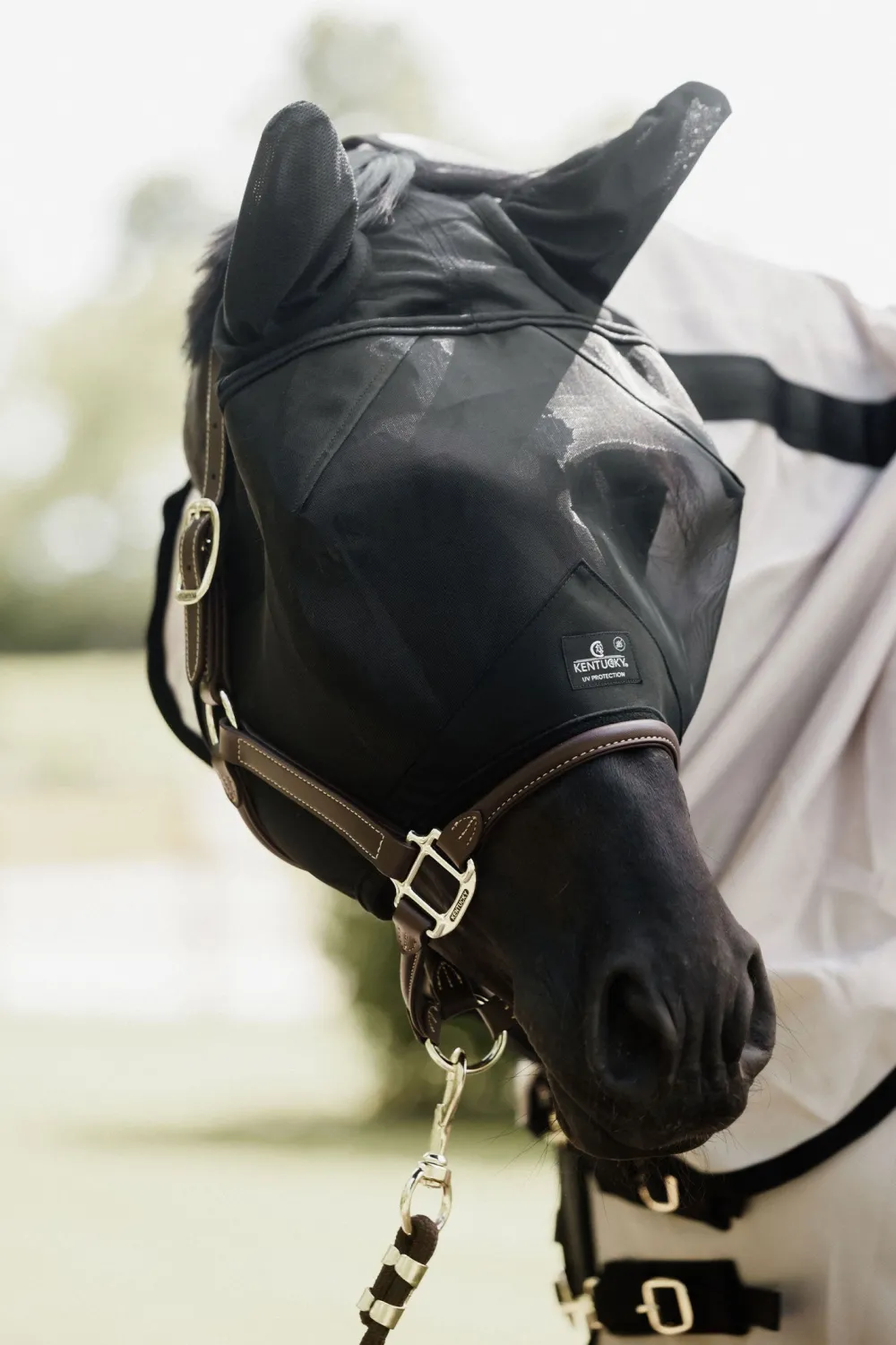 Kentucky Horsewear Kentucky Horsewear-Flughuva Öron Svart