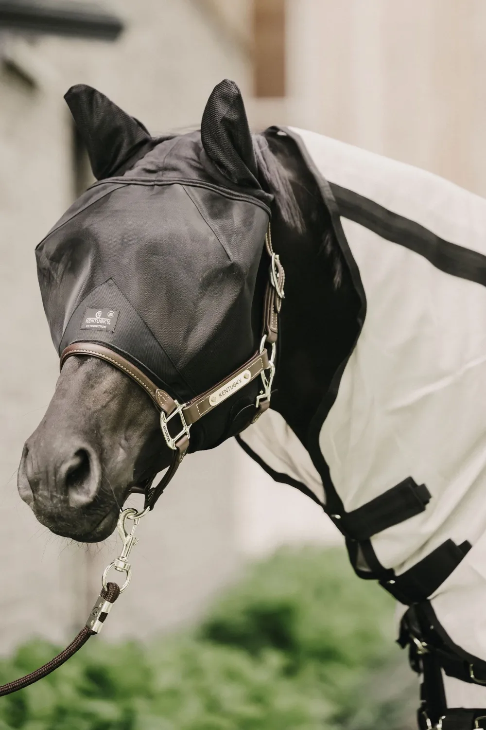 Kentucky Horsewear Kentucky Horsewear-Flughuva Öron Svart