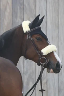 Kentucky Horsewear Kentucky Horsewear|Schabrak & Huvor-Flughuva Svart