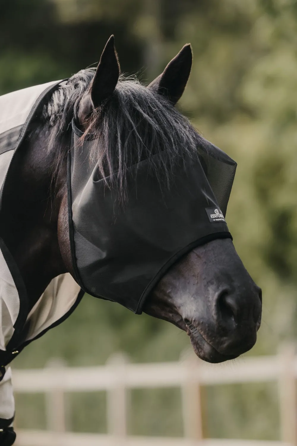 Kentucky Horsewear Kentucky Horsewear-Flughuva Utan Öron Svart