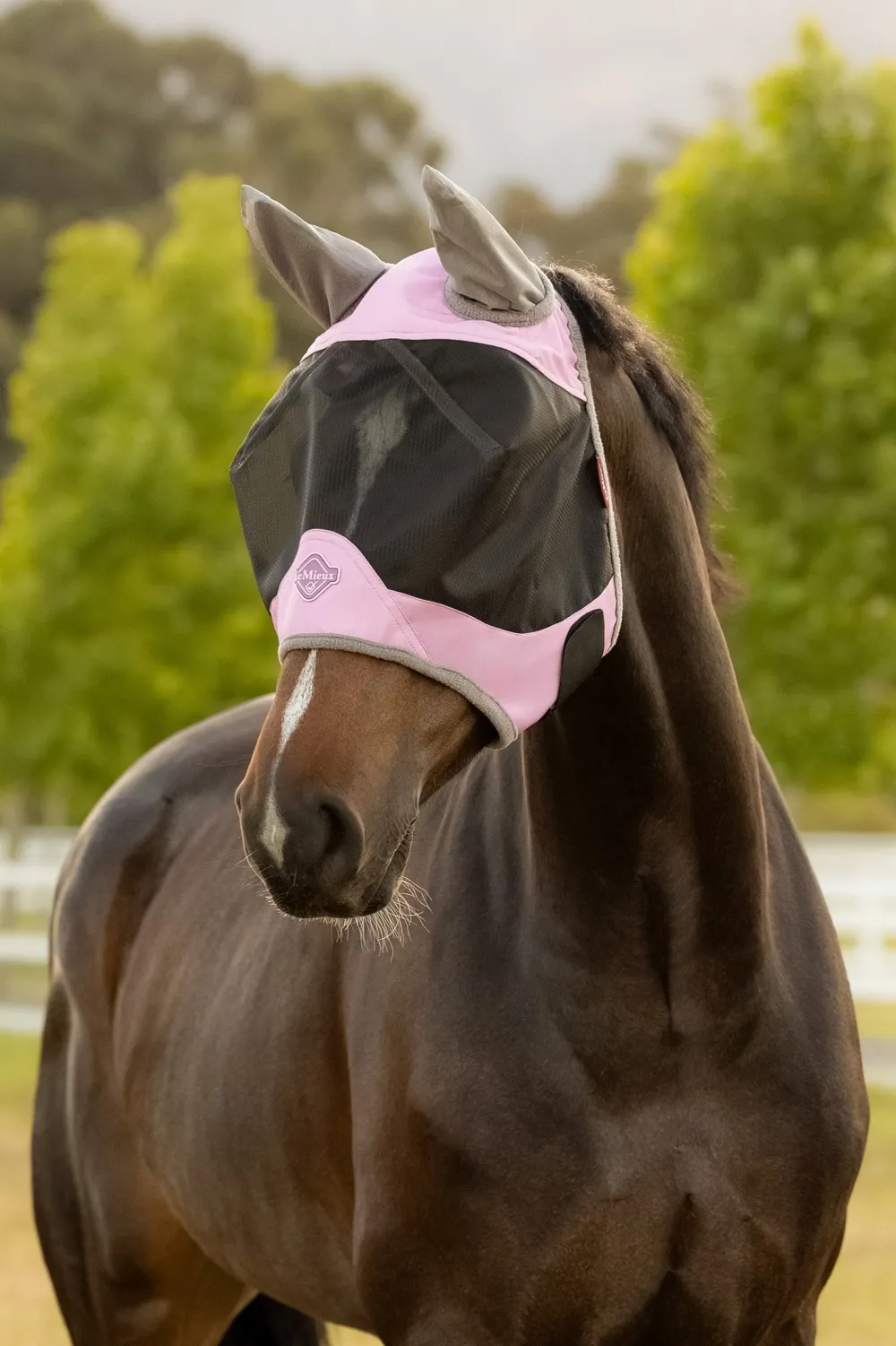 LeMieux Flugskydd|Lemieux-Flughuva Visor-Tek Fondant