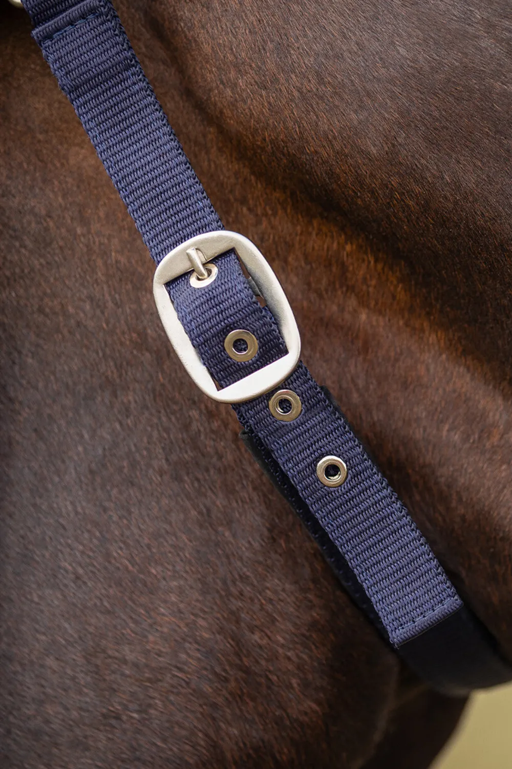 QHP Qhp|Flugskydd-Flugpannband Extra Navy