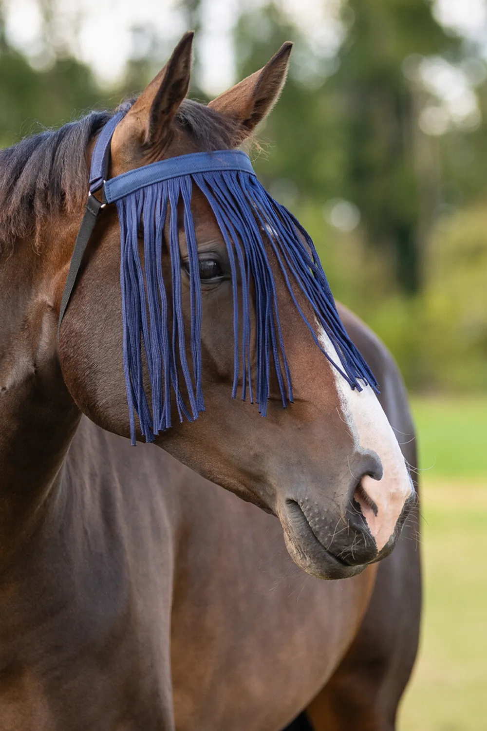 QHP Qhp|Flugskydd-Flugpannband Extra Navy