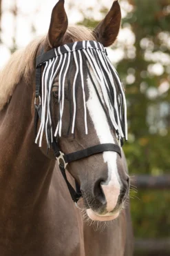 QHP Qhp|Flugskydd-Flugpannband Zebra