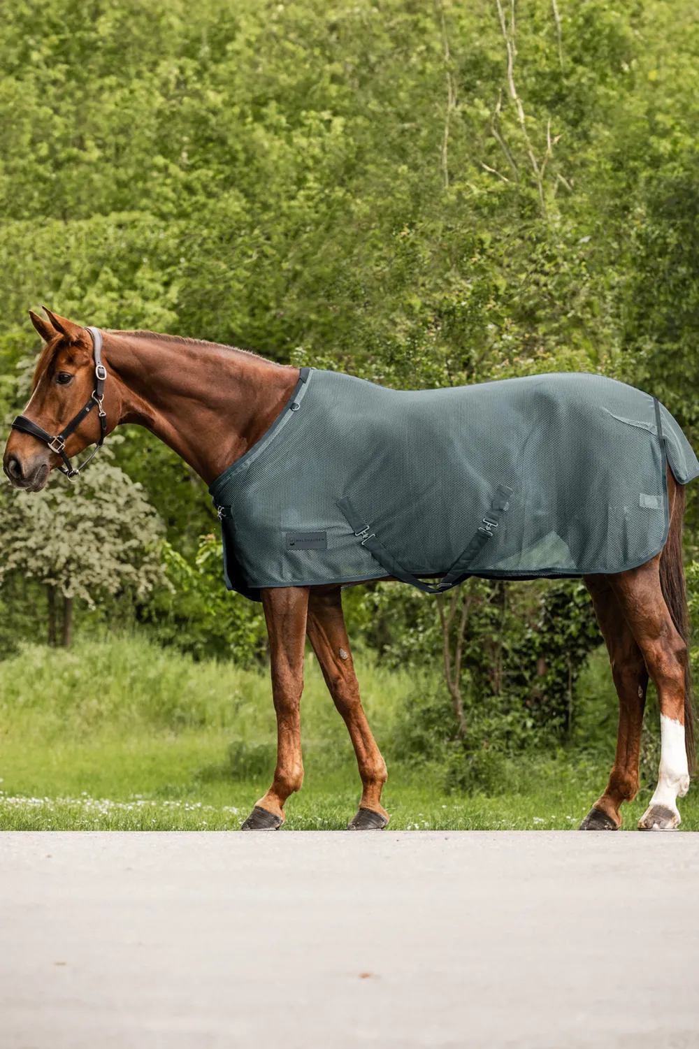 Waldhausen Hästtäcken & Flughuvor-Flugtäcke Comfort med Kryssgjordar Pine Green