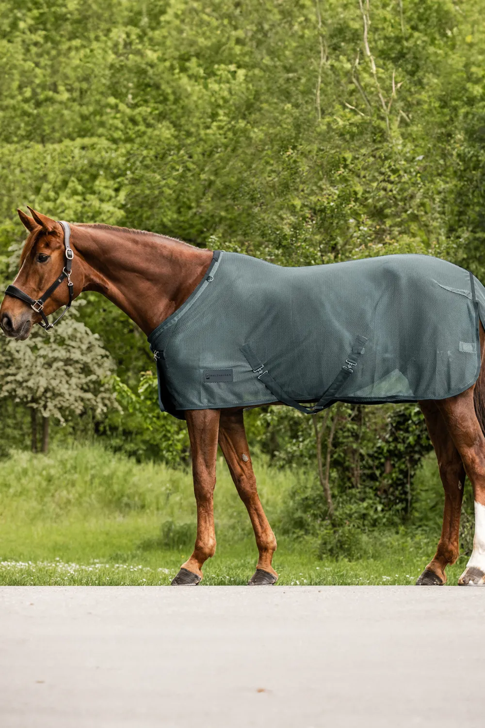 Waldhausen Hästtäcken & Flughuvor-Flugtäcke Comfort med Kryssgjordar Pine Green