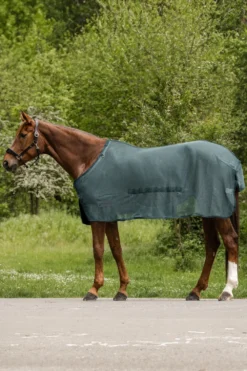 Waldhausen Hästtäcken & Flughuvor-Flugtäcke Comfort med Magplatta Pine Green