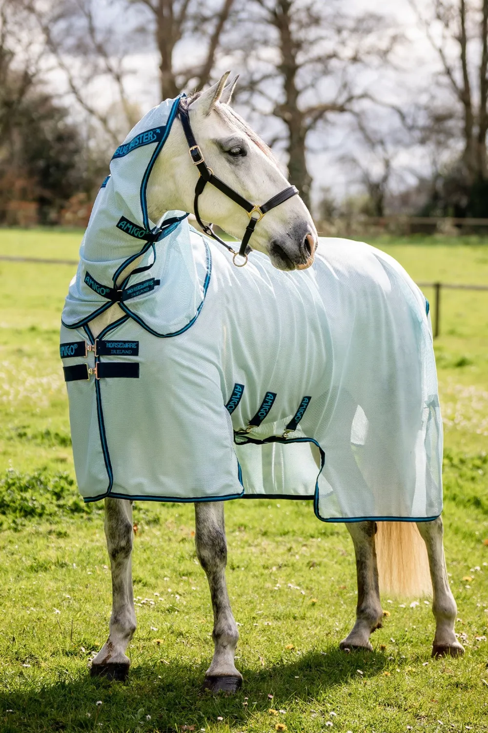 Horseware Horseware|Flugskydd-Flugtäcke + hals Amigo Azure/Navy