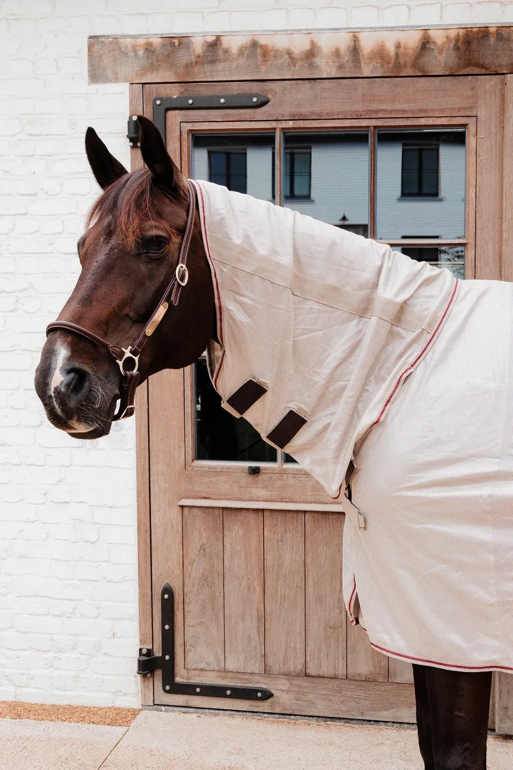 Kentucky Horsewear Kentucky Horsewear|Flugskydd-Flugtäcke Mesh Med Magplatta Beige