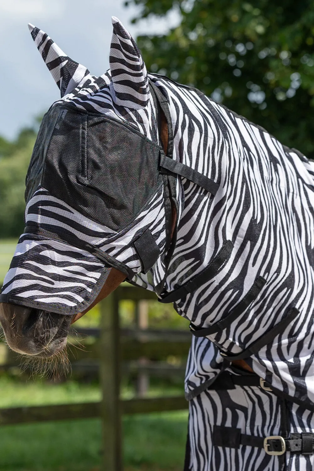 QHP Qhp|Flugskydd-Flugtäcke m Hals och Flughuva Zebra