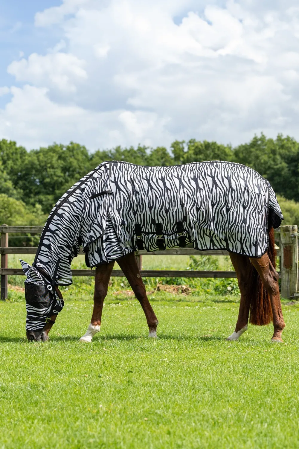 QHP Qhp|Flugskydd-Flugtäcke m Hals och Flughuva Zebra