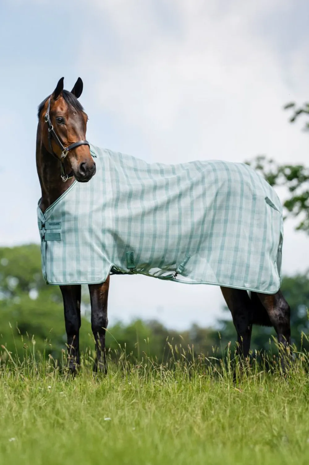 Horseware Flugskydd-Flugtäcke Newmarket Witney Dynasty
