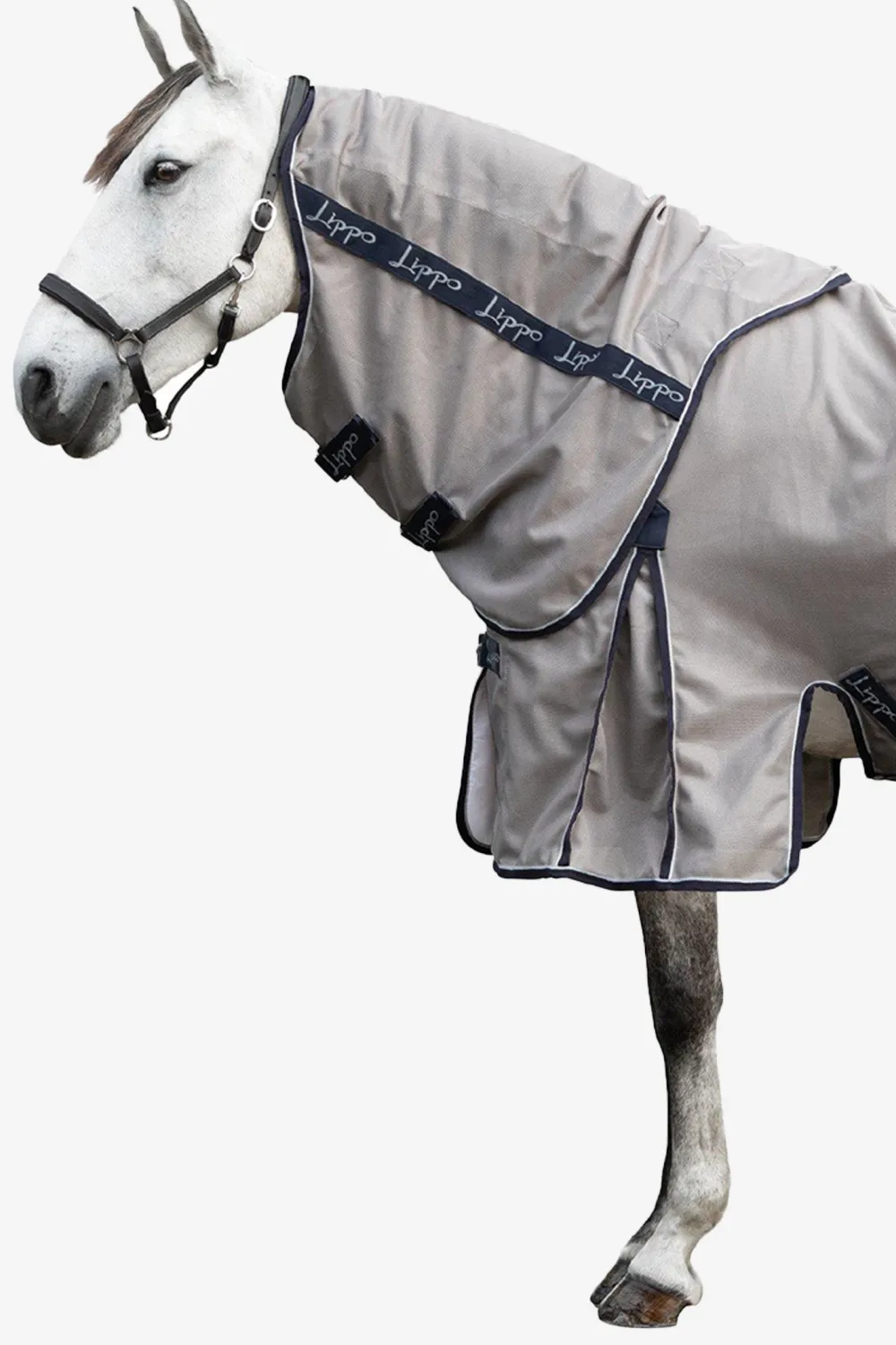 Lippo Lippo|Flugskydd-Flugtäcke Pro Plus Silver/Navy