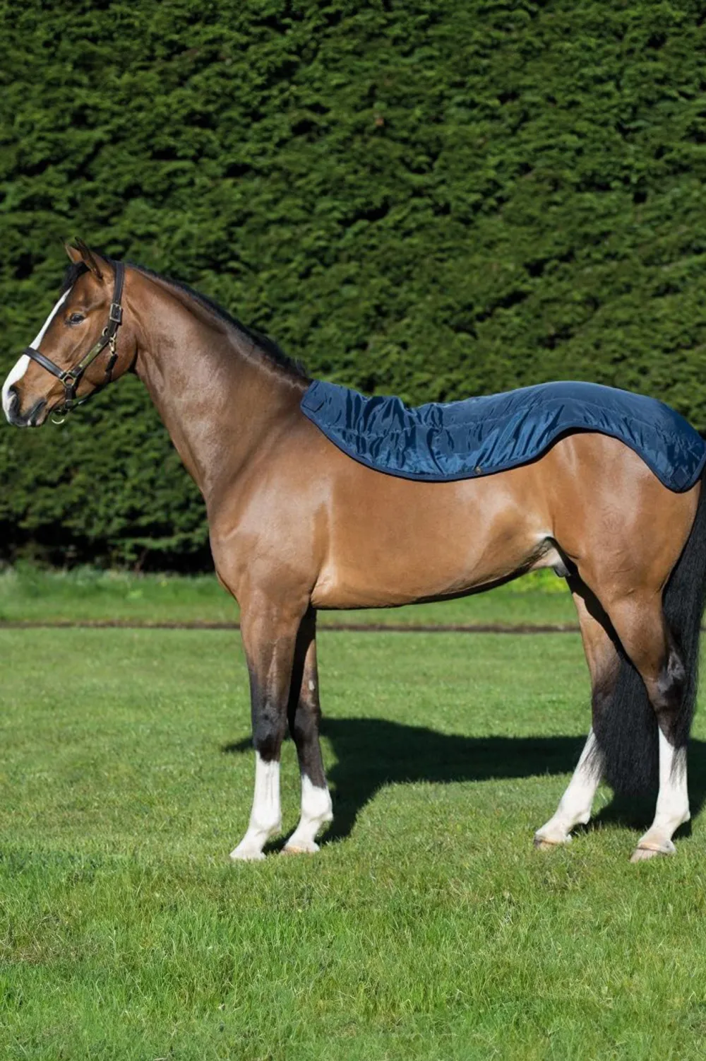 Horseware Horseware|Flugskydd-Fugtäcke Rabo uer erie Navy/Grey