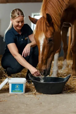 Eclipse Biofarmab Eclipse Biofarmab|Fodertillskott & Hästgodis-Fodertillskott Rehalyt Basic 3kg