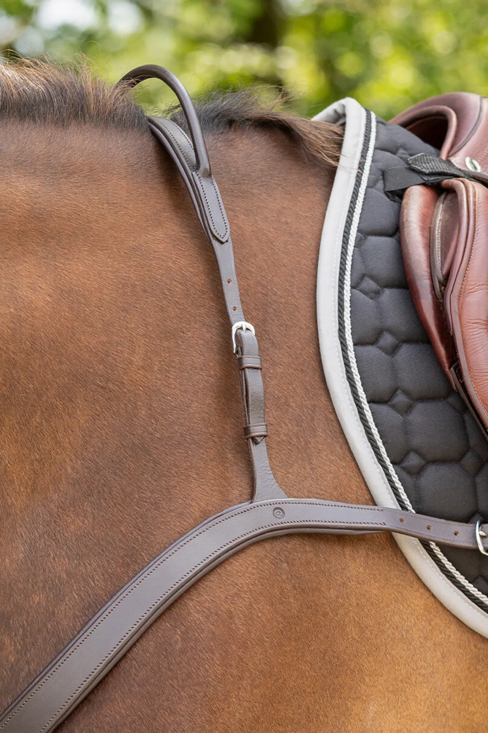 QHP Qhp|Tyglar & Hjälptyglar-Förbygel med Handtag Mörbrun