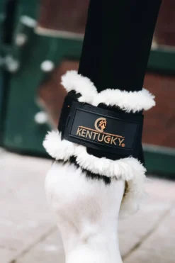 Kentucky Horsewear Benskydd & Benlindor-Fårskinn Bakskydd Svart