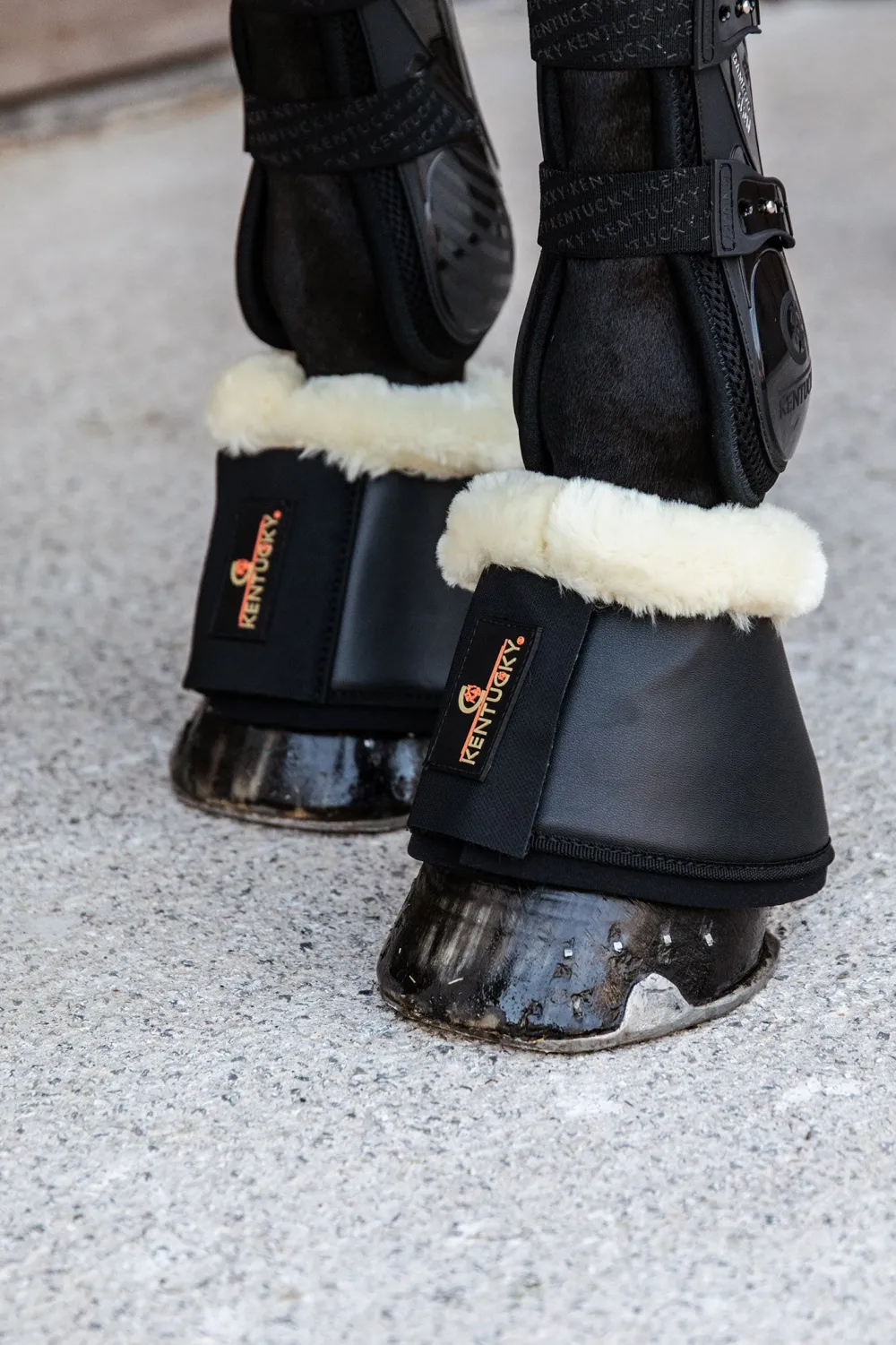 Kentucky Horsewear Kentucky Horsewear|Benskydd & Benlindor-Fårskinn äder Boots Svart/Crea