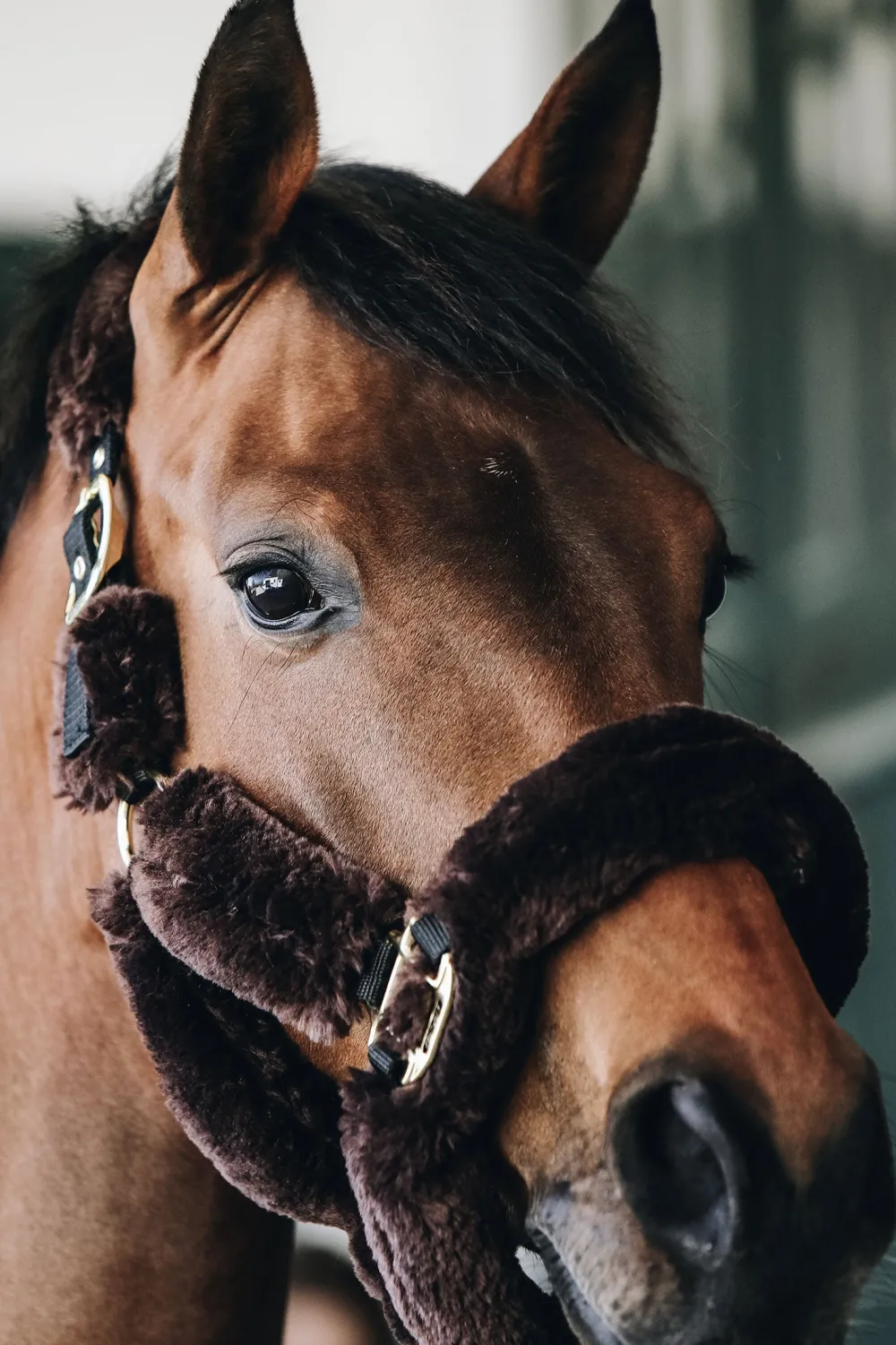 Kentucky Horsewear Kentucky Horsewear|Grimmor & Grimskaft-Fårskinnsgrimma Brun