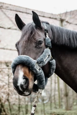 Kentucky Horsewear Grimmor & Grimskaft-Fårskinnsgrimma Grå