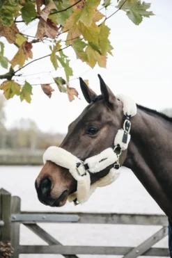 Kentucky Horsewear Grimmor & Grimskaft-Fårskinnsgrimma Natur