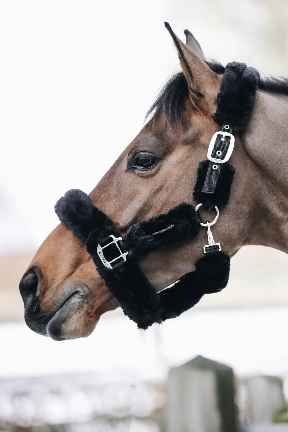 Kentucky Horsewear Grimmor & Grimskaft-Fårskinnsgrimma Svart