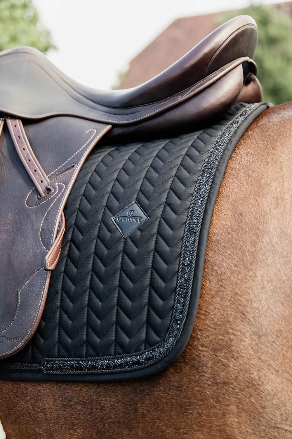 Kentucky Horsewear Kentucky Horsewear|Schabrak & Huvor-Glitter Stone Set Svart