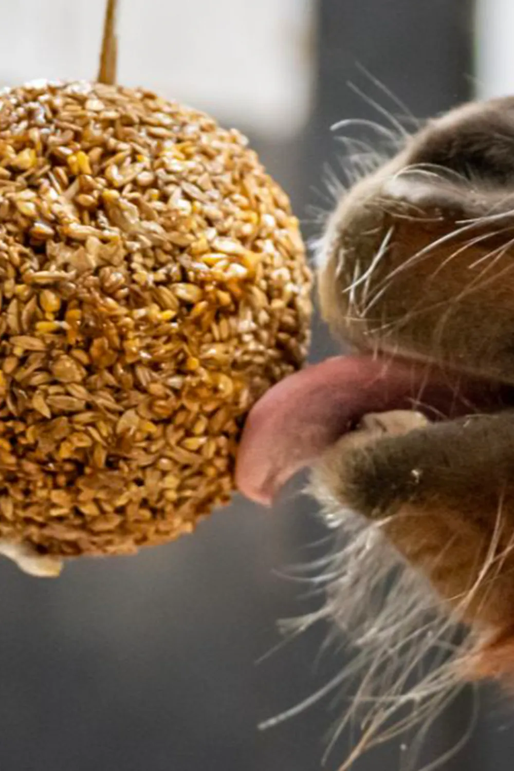 Likit Likit-Granola Boll Mixade Bär