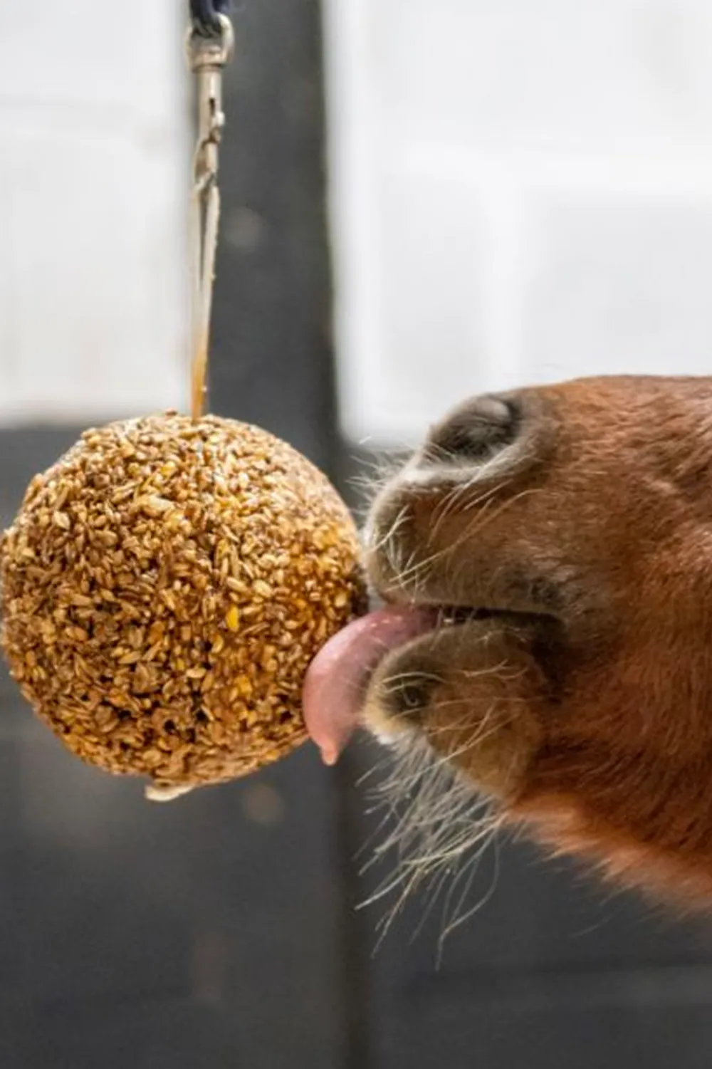 Likit Likit-Granola Boll Pepparmint