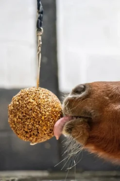 Likit Likit|Fodertillskott & Hästgodis-Granola Boll Äpple