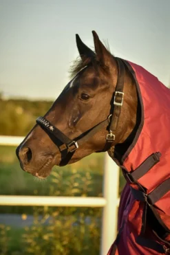 Svensk Ridsport Grimmor & Grimskaft-Grimma Derry Svart/Guld