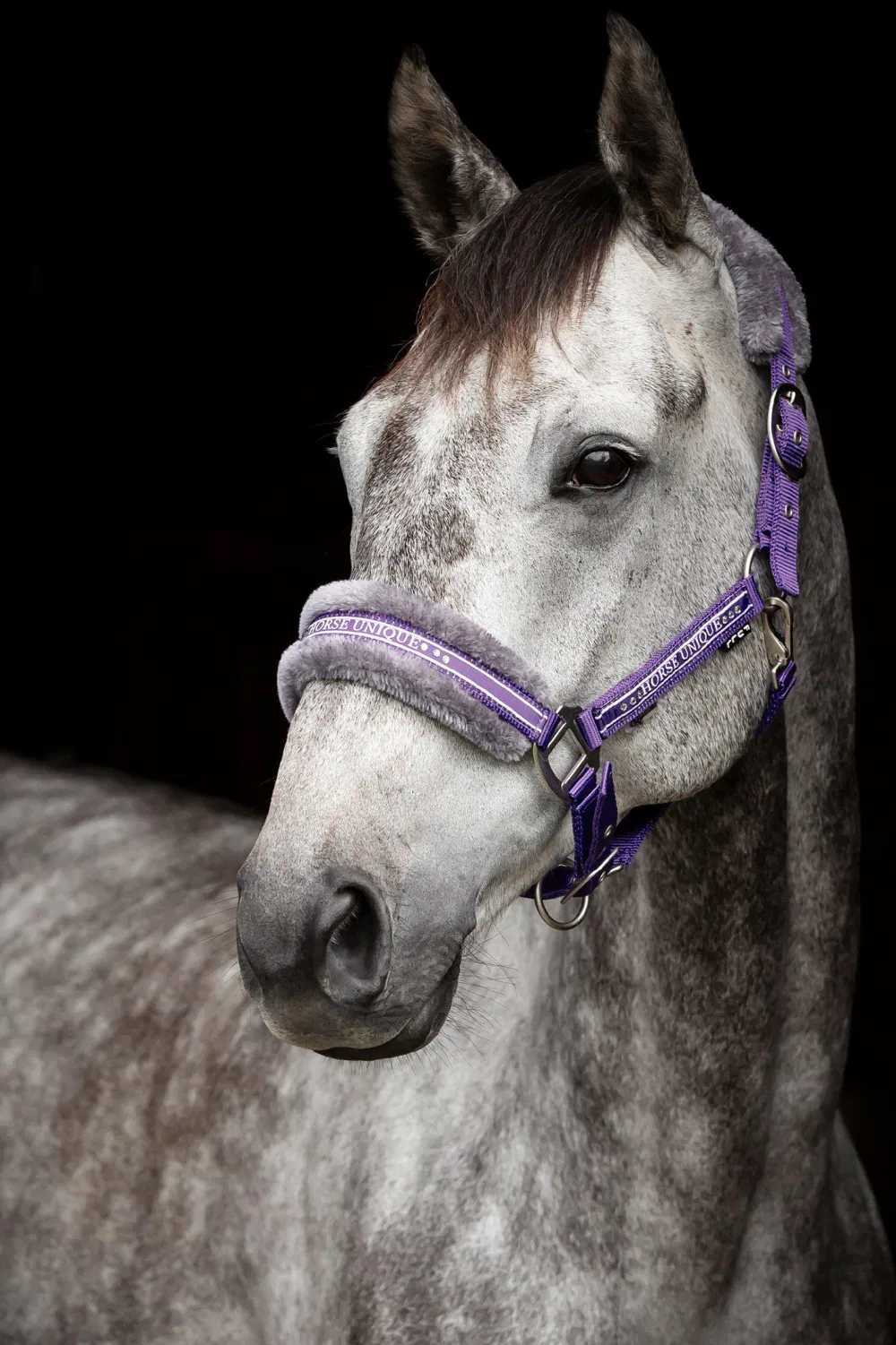 Källquist Equestrian Grimmor & Grimskaft-Grimma Lila