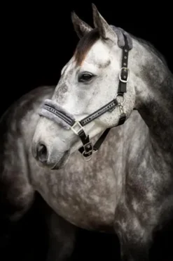 Källquist Equestrian Grimmor & Grimskaft|Källquist Equestrian-Grimma Med Päls Svart